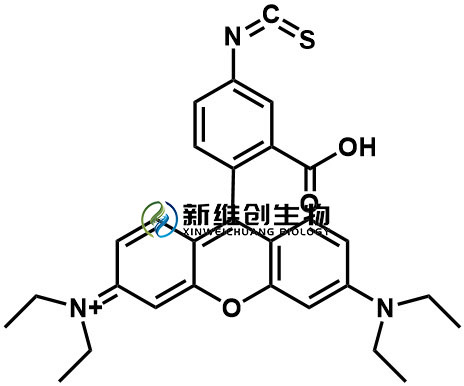 羅丹明異硫氰酸酯.jpg