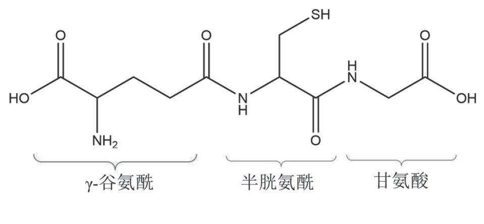 圖片7878787.png